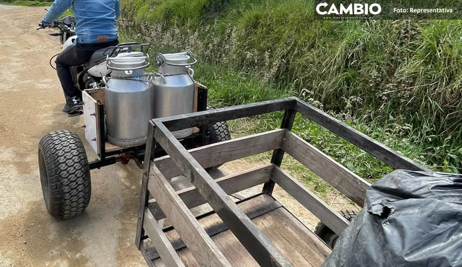 Camioneta se impacta vs carreta en San Nicolás Buenos Aires; hay un campesino herido