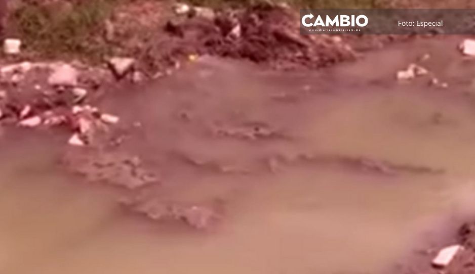Pobladores de Chiautla se quejan de mal olor y contaminación por drenaje roto