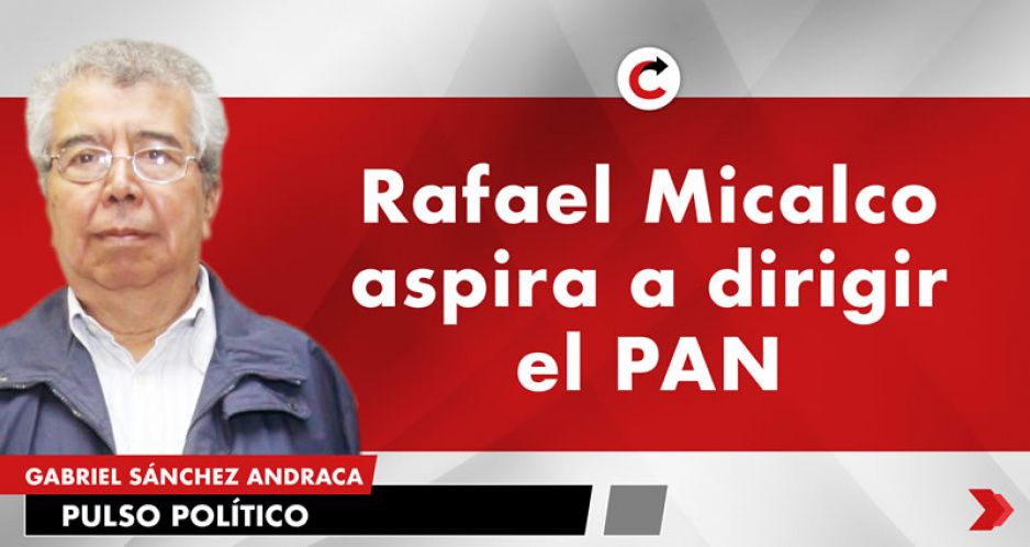 Rafael Micalco aspira a dirigir el PAN