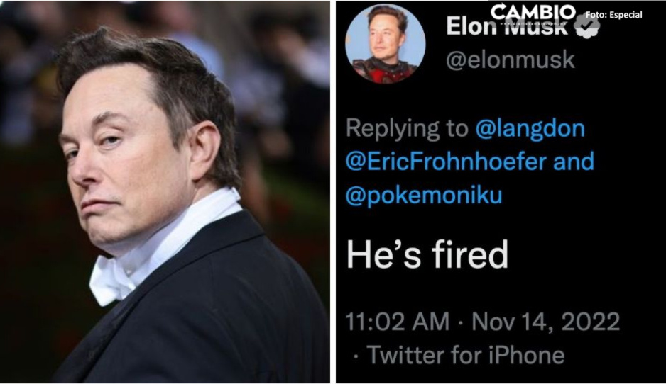Empleado de Twitter corrige a Elon Musk y lo despide con un tuit