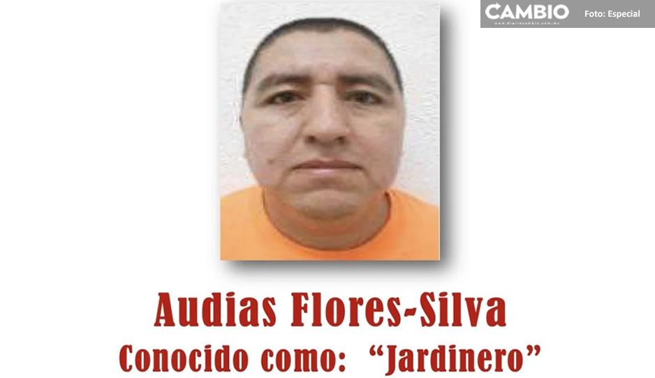 Ofrecen 5 millones de dólares por El Jardinero, nuevo líder del CJNG