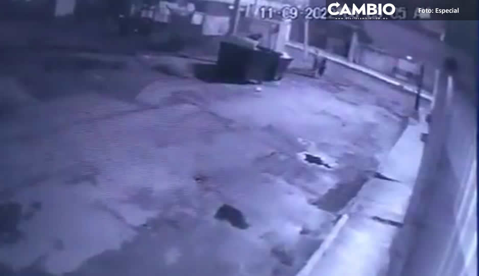 ¡Cuidado! Delincuentes se hacen pasar por pepenadores para robar casas en San Bartolo (VIDEO)