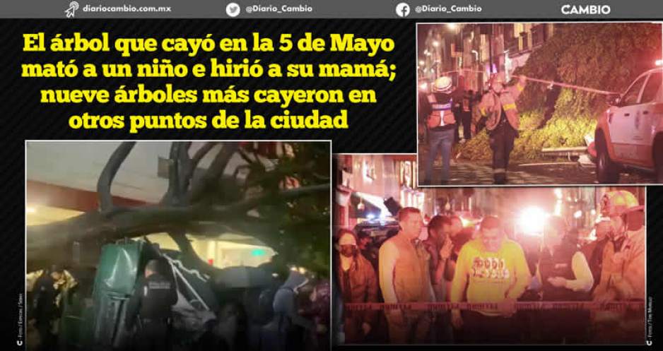 Lluvia desata el caos en Puebla capital: árboles caídos, un joven muerto y su mamá herida, el saldo  (FOTOS Y VIDEO)