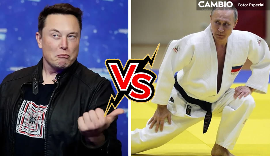 Elon Musk reta a Vladimir Putin a una pelea cuerpo a cuerpo, el ganador se queda con Ucrania