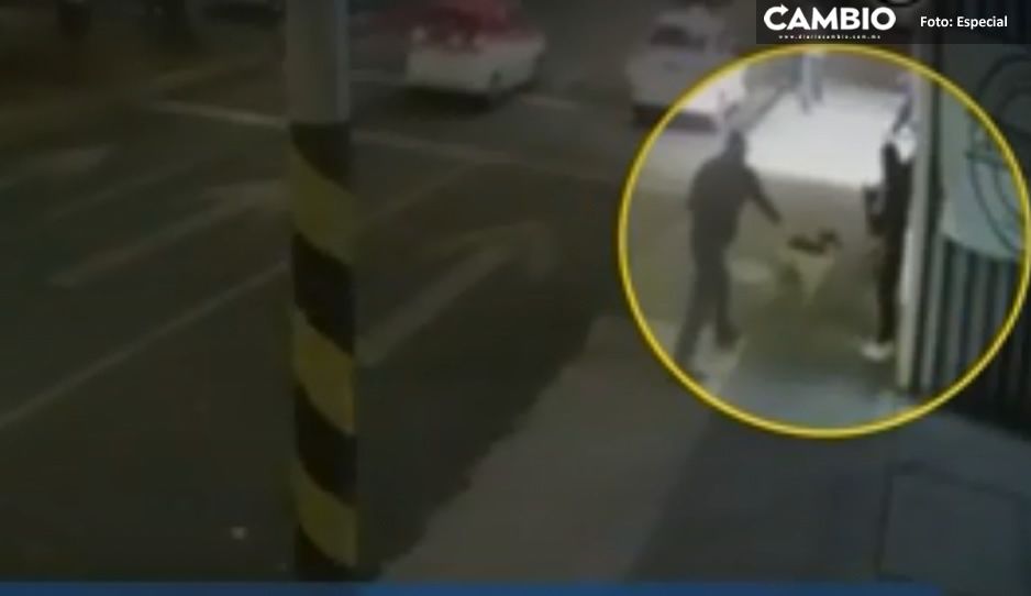 VIDEO: Desalmado asesina a perrito a balazos sólo porque ladró