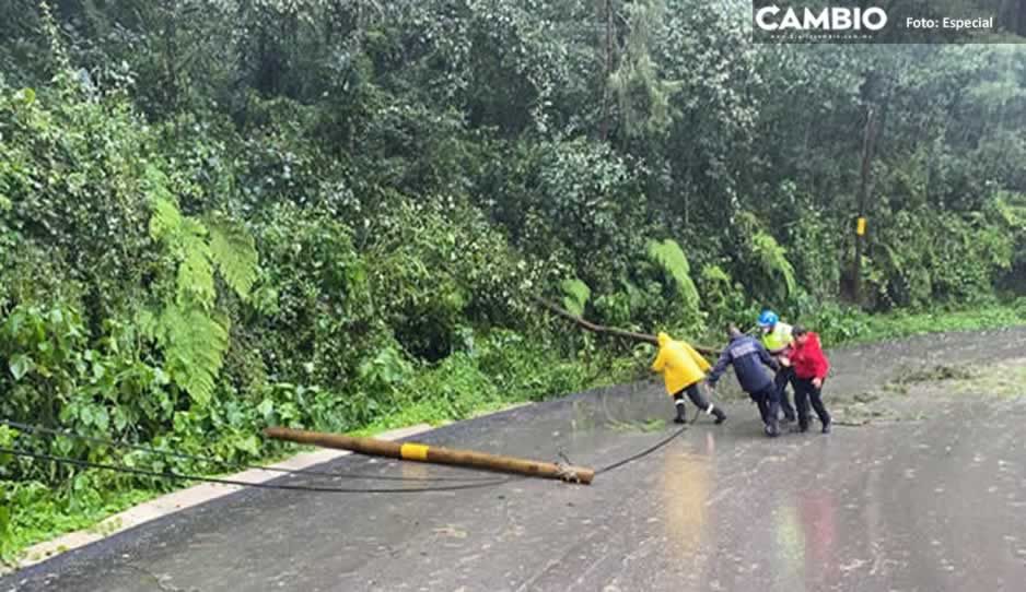 Caminos dañados por paso de “Grace” en  la Sierra Norte estarán listos la próxima semana