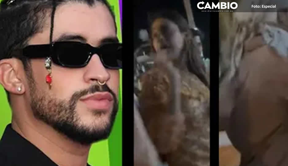 Fan agredida por Bad Bunny solo pide que el cantante se disculpe