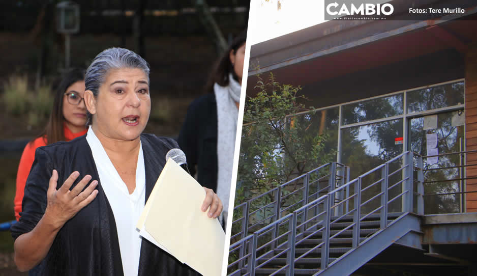 Cafetería del Parque Juárez reabrirá en julio, será rentado el espacio: Arabian (FOTOS Y VIDEO)