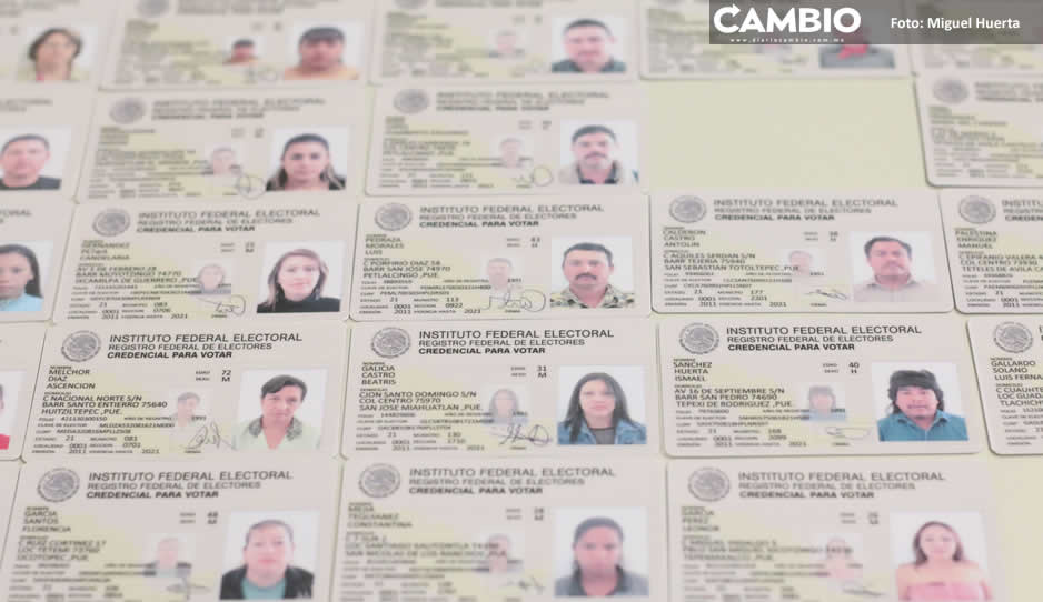Afectados por credenciales fake para votar por Genoveva ratificarán hoy su denuncia