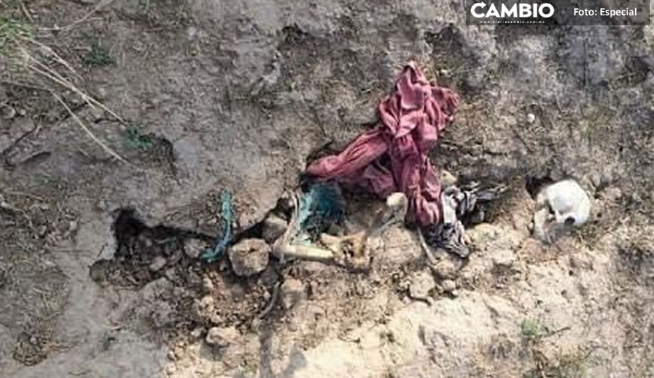 Encuentran cráneo y costillas de una persona en Tepeojuma; cadáver fue devorado por la fauna