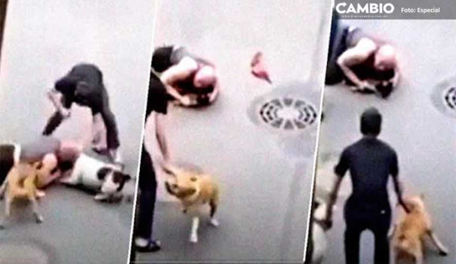 ¡Ternurita! Hombre protege a su perro con su cuerpo de feroz ataque de caninos (VIDEO)