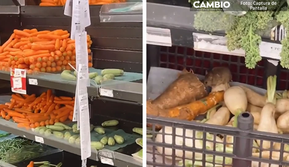 VIDEO: Captan a “Ratatouille” en Soriana comiéndose un gran festín