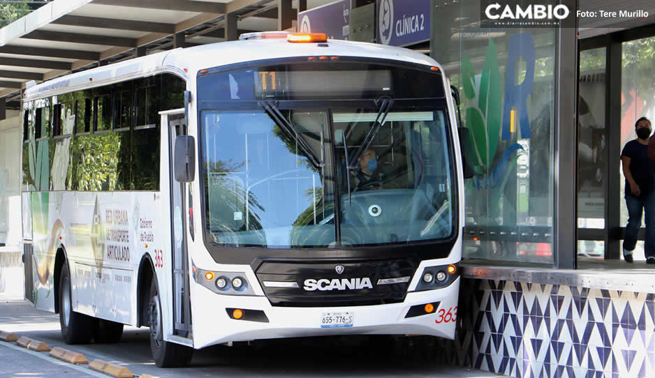 ¡Cuidado! Carteristas roban celulares a estudiantes en línea 3 del RUTA