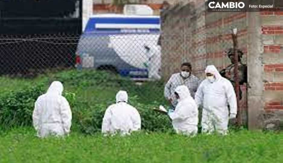 IMÁGENES SENSIBLES: Así fueron localizados los nueve cuerpos acribillados por el cártel en Veracruz
