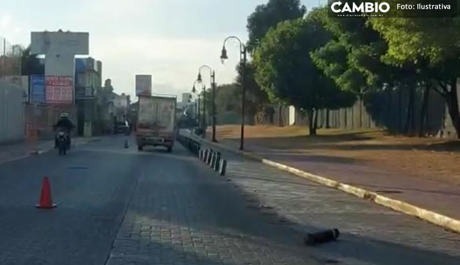 Edil de San Andrés Cholula buscará modificar ciclopista para brindar seguridad a bikers