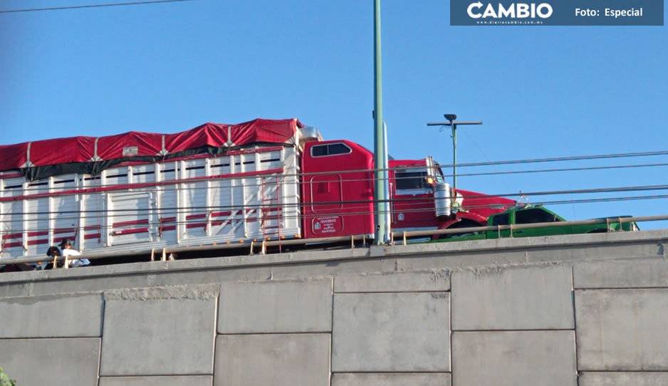 ¡Terrible accidente! Muere mujer tras ser embestida por un camión en Cuapiaxtla; se reventaron sus vísceras