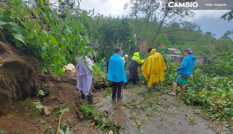 Suman 5 muertos por el huracán Grace en Puebla; 34 municipios siguen sin luz