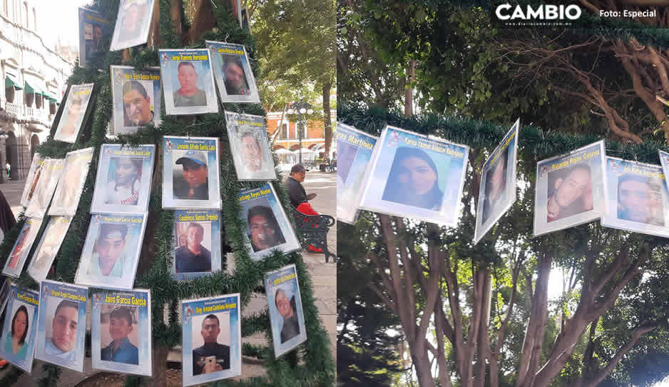 Como cada año, &quot;Voz de los Desaparecidos&quot; coloca el árbol de la esperanza en el Zócalo de Puebla