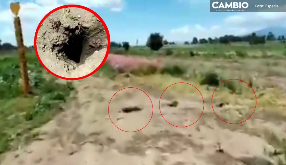 VIDEO: ¡Alerta! Aparecen más de 30 hoyos cerca del socavón