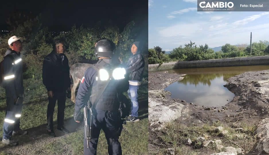 ¡Juntos hasta el cielo! Hermanitos salieron a pastar su ganado y murieron ahogados en Xochitlán