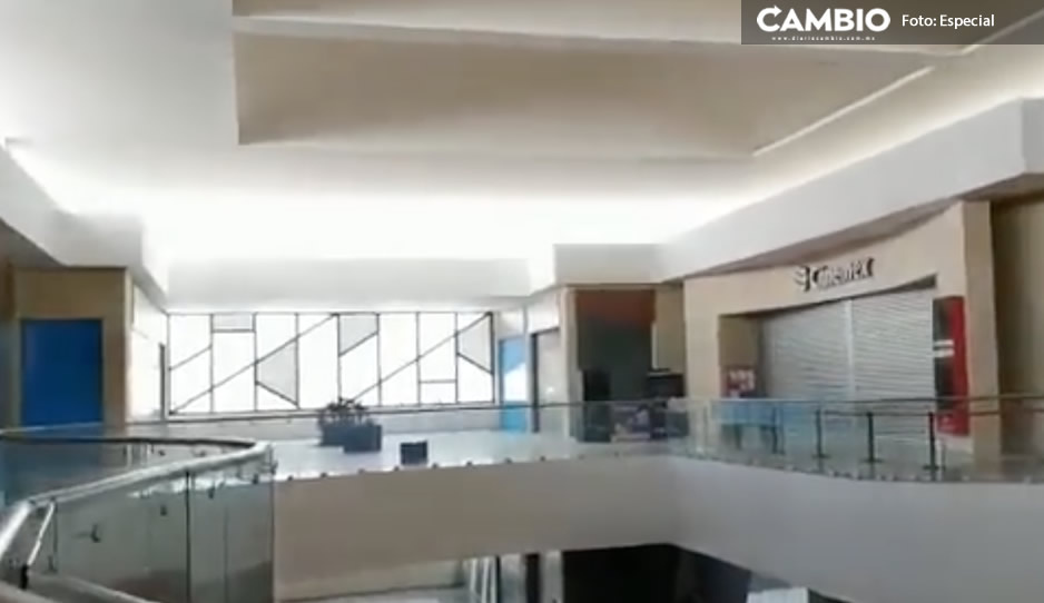 Tras colapso de techo en dulcería ¡clausuran Cinemex Las Torres! (VIDEO)