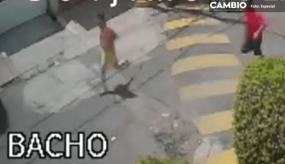 VIDEO: En calzones pero con pistola en mano corretea a ladrones de Iztapalapa