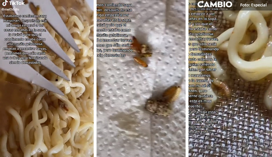 ¡Qué perro asco! Encuentran larvas en sopa Maruchan (VIDEO)