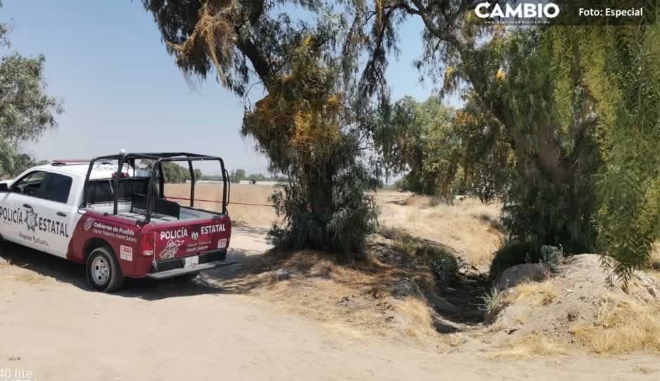 Encuentra cadáver con el tiro en la cabeza en cultivos de Huixcolotla