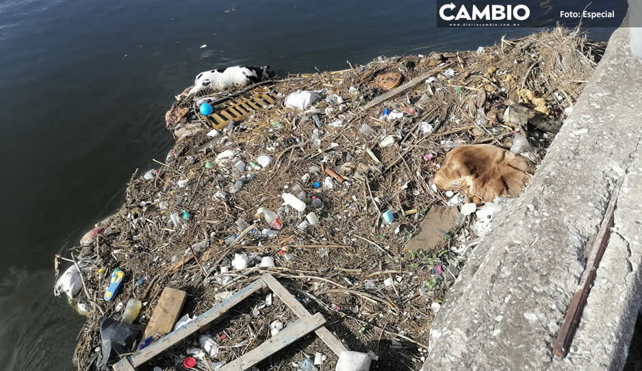 Habitantes de Tetzoyocan denuncian olor putrefacto en el canal de Valsequillo