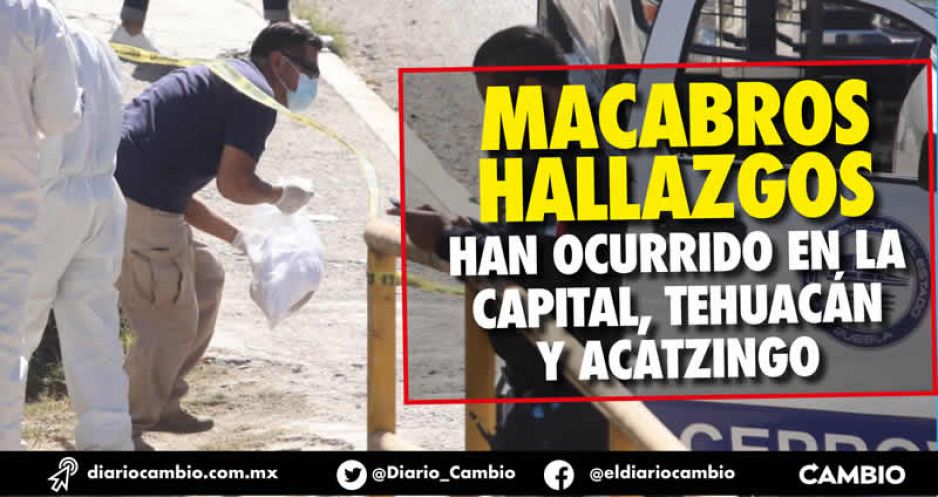 Cinco fetos y un bebe recién nacido han sido abandonados en Puebla en lo que va del año
