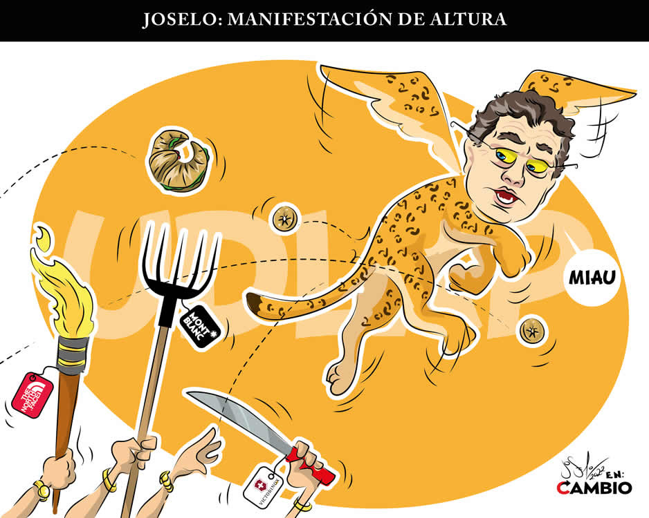 Monero Joselo: MANIFESTACIÓN DE ALTURA