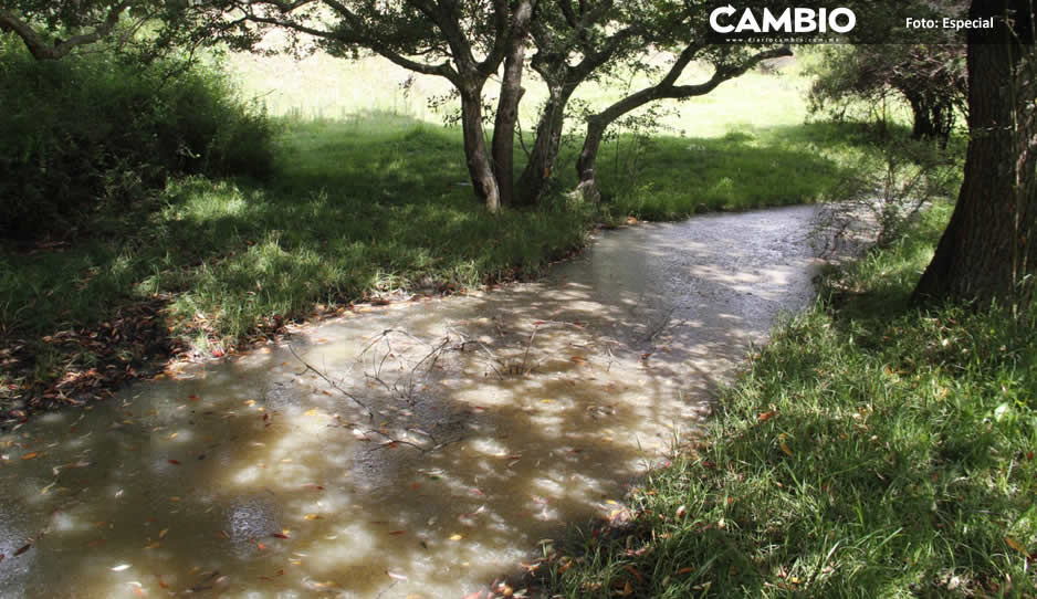 Autoridades también van por queserías que realizan descargas contaminantes al río Atoyac