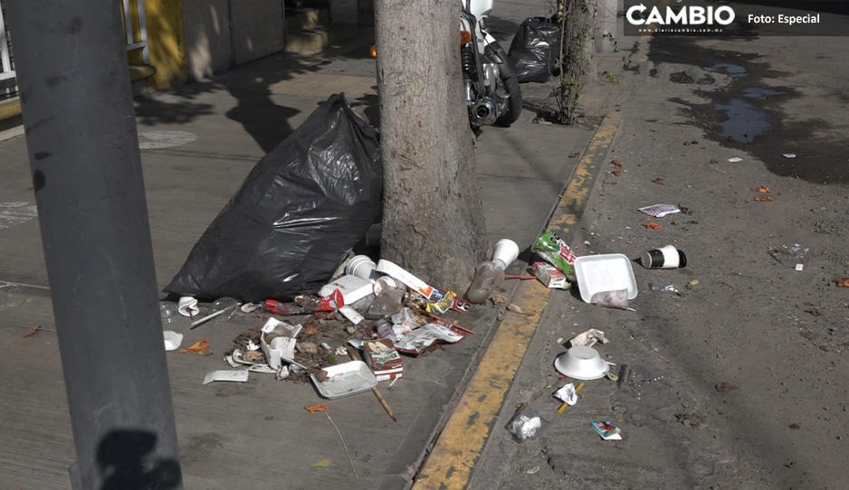 ¡Es un cochinero! Calles de Tehuacán llenas de basura tras celebración del 12 de diciembre