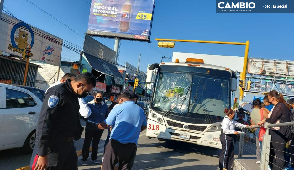 Detienen a chofer rápido y furioso de la RUTA 2 tras atropellar a jovencito en San Bartolo