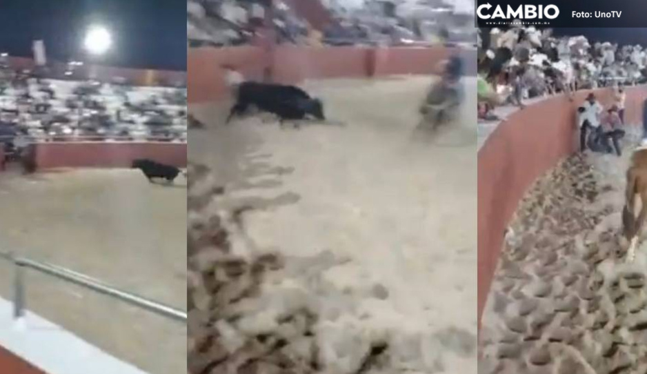 BRUTAL VIDEO: Muere joven tras ser corneado en la Plaza de Toros