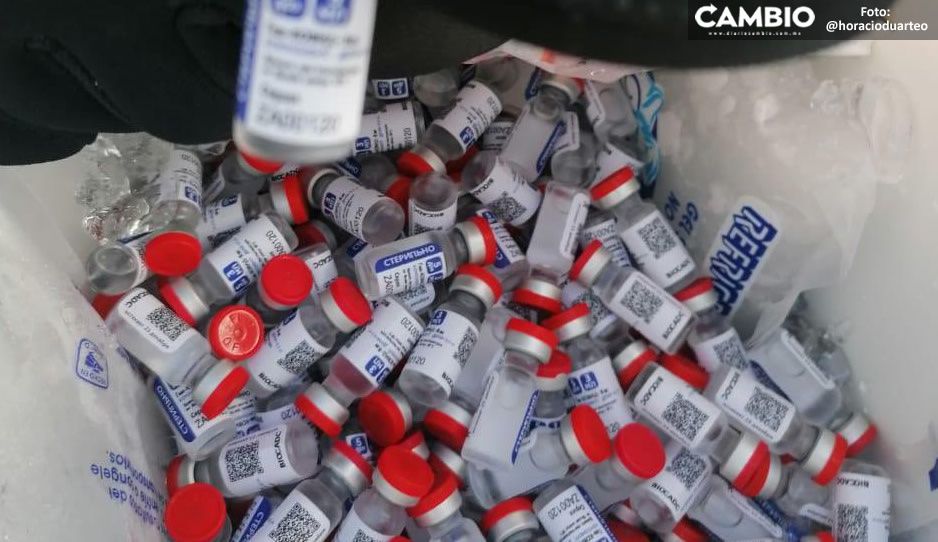 Vacunan vs Covid a más de mil personas con dosis falsas en Campeche