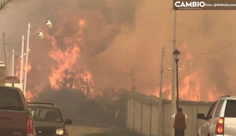 Terrible incendio en La Calera, así lucharon vecinos contra las llamas (VIDEO)