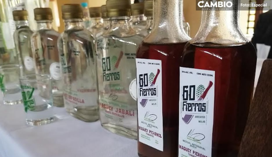 Mezcaleros de Tehuacán piden a Barbosa que otorgue permiso a la UTT para certificación de productos