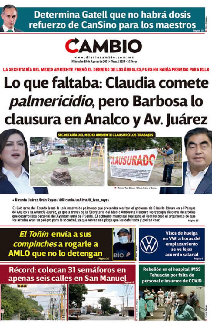 Lo que faltaba: Claudia comete palmericidio, pero Barbosa lo clausura en Analco y Av. Juárez