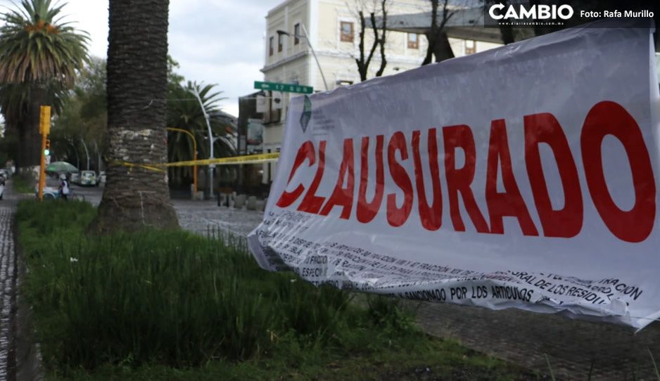 Gobierno estatal clausura ecocidio de Claudia en la Avenida Juárez (FOTOS y VIDEO)