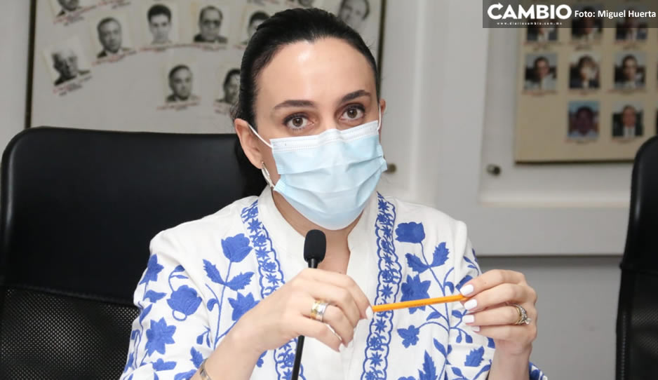 Della Vecchia desestima la iniciativa que promueve la Interrupción Legal del Embarazo (VIDEO)