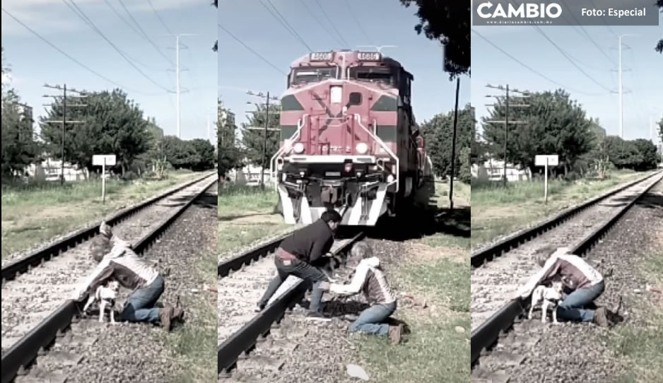 VIDEO: Invidente trata de rescatar a su &#039;lomito&#039; atrapado en las vías del tren