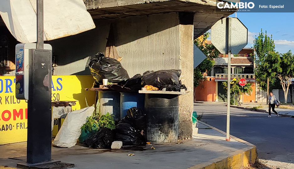 En Santa María Coapan recolectan su propia basura tras 14 días sin servicio de limpia en Tehuacán