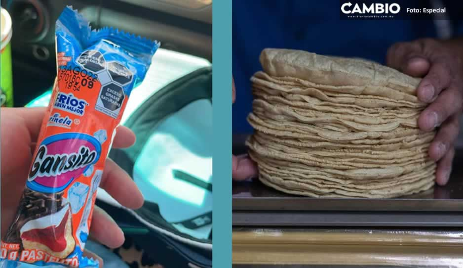 ¿Cómo pasó? Un Gansito ya cuesta lo mismo que un kilo tortillas