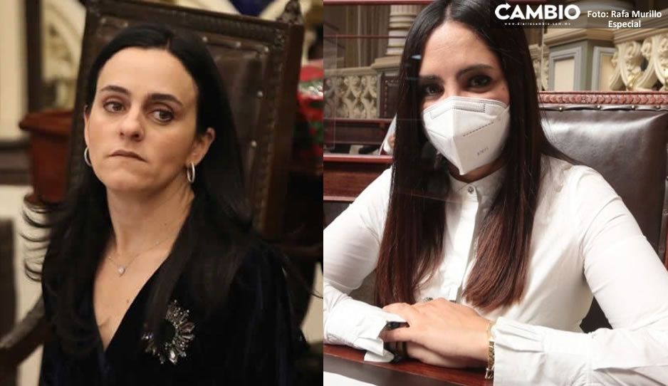 ¡Lástima Margarito! TEPJF le regresa la diputación a Della Vecchia y se la quita a Melissa Jauli (VIDEO)