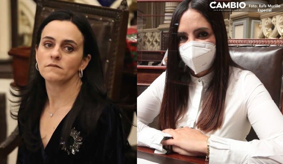 ¡Lástima Margarito! TEPJF le regresa la diputación a Della Vecchia y se la quita a Melissa Jauli (VIDEO)