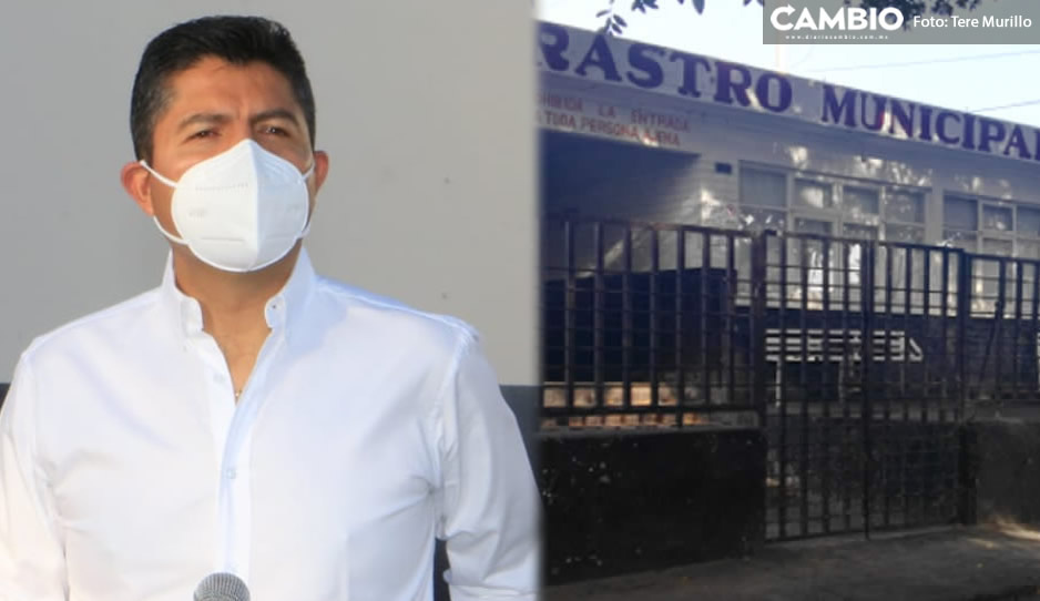 Descartan recuperar certificación TIF debido a que no se exporta carne (VIDEO)