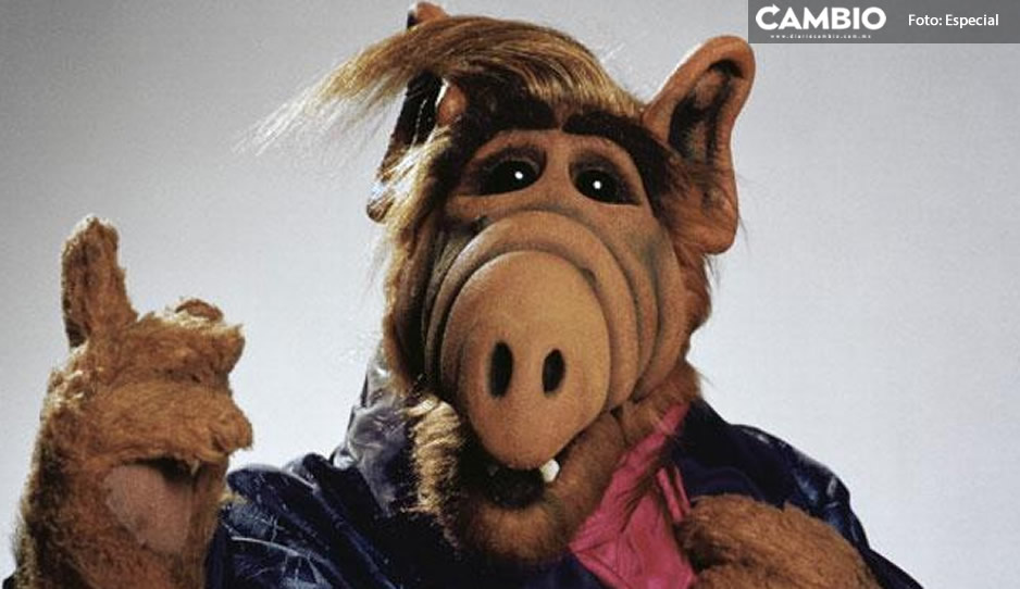 ¡Cuida a tu michi! ‘ALF’ regresa a México; ya está disponible en HBO Max