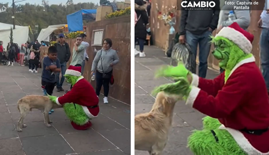 ¡Denle un Ariel! Hombre interpreta a la perfección al &#039;Grinch&#039; tras discutir con niño que le pide foto (VIDEO)