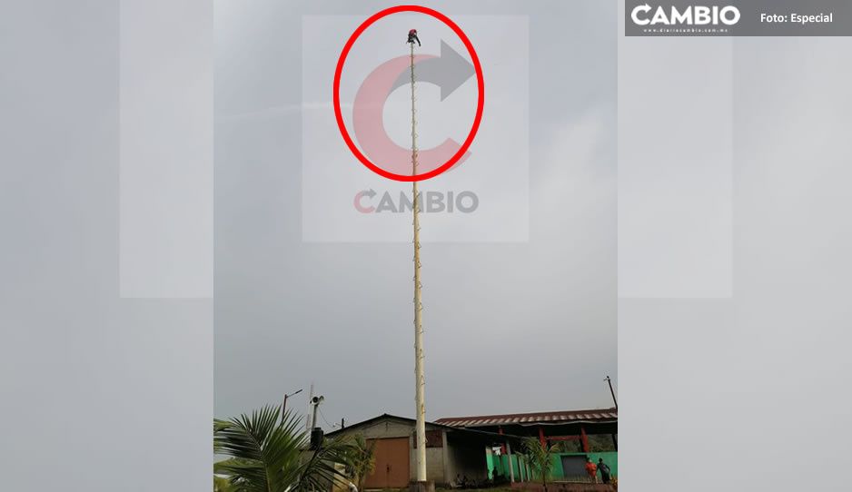 Con tal de no ser anexado jovencito escala palo de voladores de Papantla en Ayotoxco